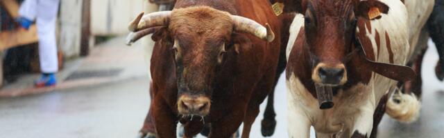Crypto Daybook Americas: Bitcoin Retreats From $108K, But Bulls Aren’t Done