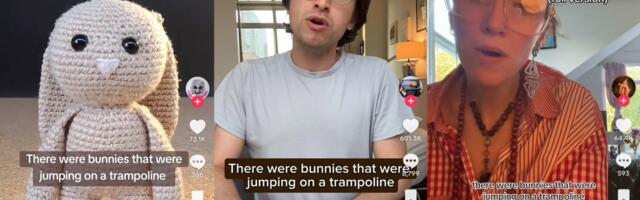 The TikTok artist behind viral unknowing bunny song pits human creativity against AI illusion