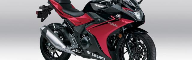 Do 250cc Motorcycles Make Good Beginner Bikes? Here's What Riders Say