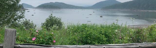 I visited a beautiful region in Canada with incredible waterfront sunsets and fresh seafood. It's a true local gem.
