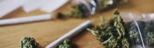 Cannabis-Induced ‘Scromiting’ Is on the Rise, Study Finds