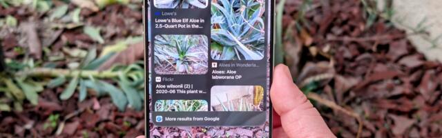 Apple’s Visual Intelligence coming to iPhone 15 Pro