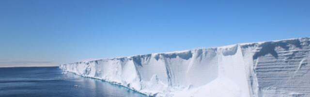 Scientists Went Looking for Shackleton’s Endurance. They found a Hidden Fish City in Perfect Formation Instead