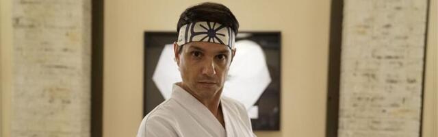 A Love Letter to Cobra Kai, One of the Greatest Sequels Ever