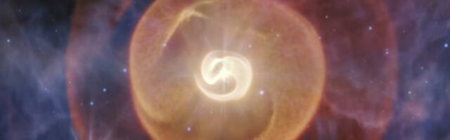 Webb telescope discovers a new surprise about a rare pair of extreme stars