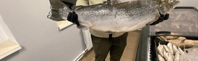 Я вскрываю коробки, счищаю снег с рыб и за 4 месяца зарабатываю минус 26 тысяч