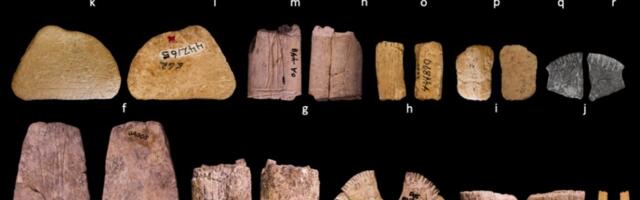 Ice Age dice show early Native Americans may have understood probability