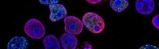 Biotech startup Mercury Bio raises $2 million to develop next-generation drug delivery platform