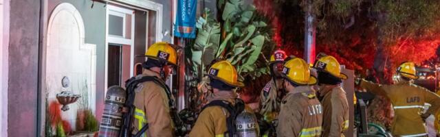 LA’s Museum of Jurassic Technology damaged by fire