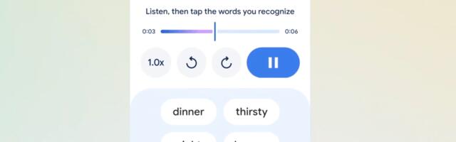 Google is building a Duolingo rival into the Translate app