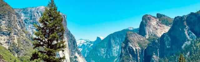 $40, $100, $250: U.S. Fees Are Adding Up for Travelers