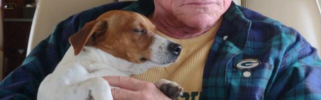 The Electric: An Afternoon With Chip Tycoon T.J. Rodgers on His Latest Act—Batteries