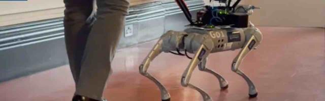 New robot guide dog shows not only human jobs are threatened by AI