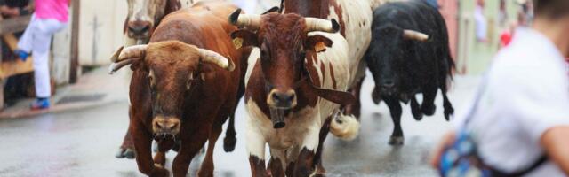 Bitcoin Could Spike to $120K, Here Are 4 Factors Boosting the Case for a BTC Bull Run