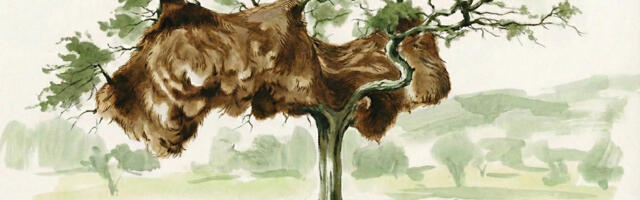 [Перевод] Что такое Архитектура ПО?