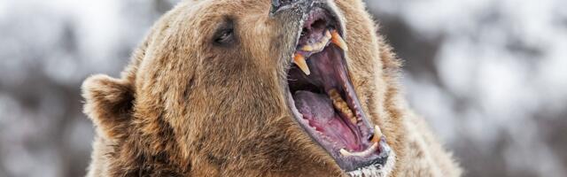 Crypto Sell-Off Worsens With XRP, SOL, DOGE Down 20%, Traders See More Pain Ahead of US Open