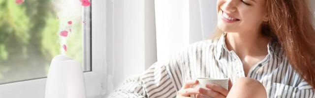 The best humidifiers for a healthier home