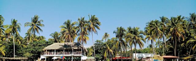 El Salvador Dispatch: The Origins of the Bitcoin Experiment