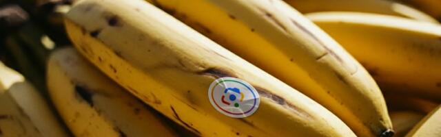 Google just dropped its Nano Banana AI image generator into your search results and notes