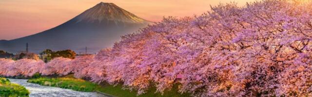 JTB CEO Says Japan’s Tourism Problem Is Distribution, Not Overtourism