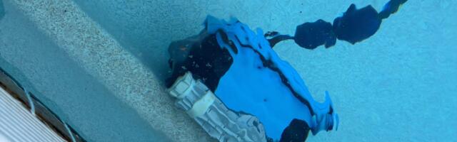 This Dolphin Robot Vacuum Has Kept My Pool Spotless For 2 Years With No Issues