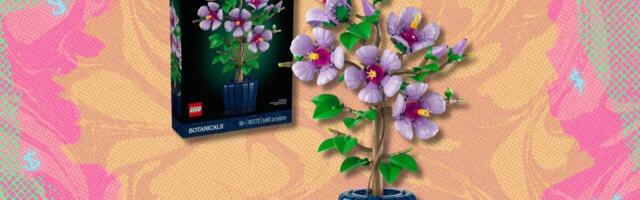 The lovely Lego Botanicals Hibiscus Flower has hit a new record-low price at Amazon — save over $10