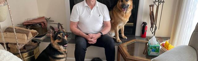 I built two wholesale businesses. When I retired at 72, I volunteered to raise service dogs to keep myself on a routine.