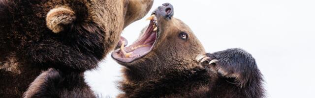 Bitcoin Bears Target 200-day Average as Macro Concerns Overshadow Trump's Crypto-Related Actions