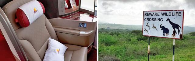I rode premium class on a train across Kenya for $66. It felt like a first-class flight mixed with a safari.