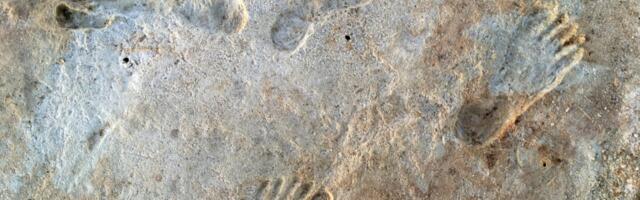 New Study Backs Controversial Claim of 23,000-Year-Old Human Footprints in New Mexico