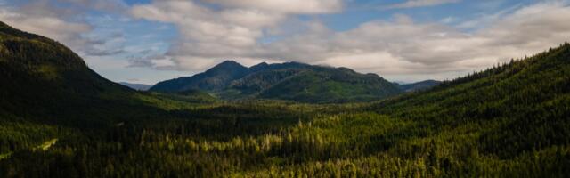 The US is stripping its forests of decades-old protections