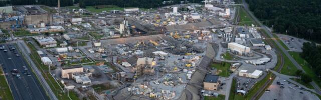 Radioactive Wasp Nest Found in Decommissioned Nuclear Weapons Plant