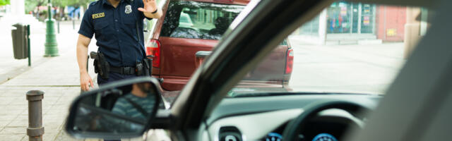 Everything That Cops See When They Run Your Plates