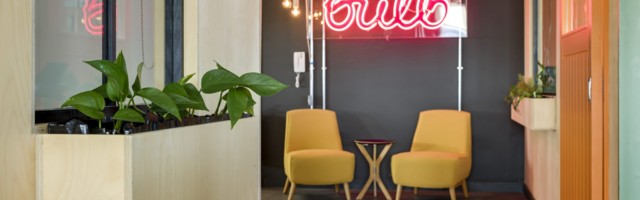 What’s next for Bulb, Europe’s fastest growing startup?