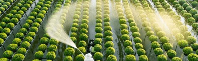 Over £80 billion went to Agritech in Europe in the last 20 years – will there be enough high-quality food for all?