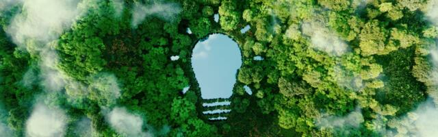 Achieving sustainable innovation through responsible product development