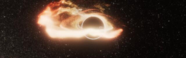 A Rogue Black Hole of Unusual Size Is Devouring Stars in a Distant Galaxy