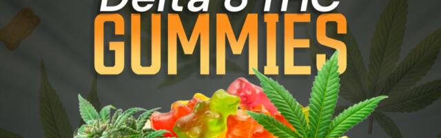 Best Delta 8 THC Gummies To Help You Chill, Sleep Better, and Relieve Pain in 2024