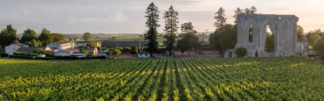 I've traveled to 77 wine regions across the world. Here are the 5 that everyone should visit at least once.
