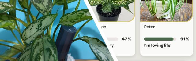 ‘Eva Green is not vibing with her surroundings’ — can these smart sensors help me keep my houseplants alive?