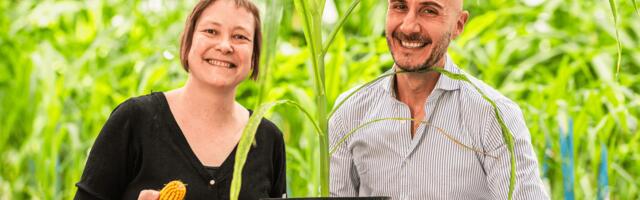 Rainbow Crops raises €9.7M to scale AI-powered crop engineering