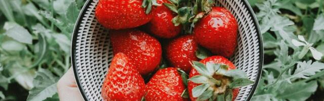 Can OpenAI’s Strawberry program deceive humans?