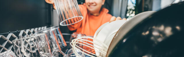 Every Major Dishwasher Brand Ranked Worst To Best