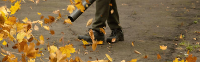Can You Use A Leaf Blower To Get Snow Off Your Car?