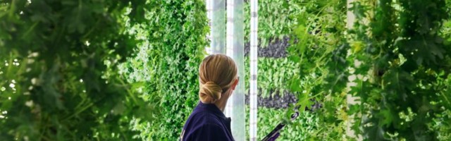 AI and robot-run farms are transforming agriculture