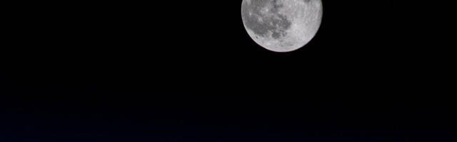 Study suggests you may be able to grow plants on the Moon