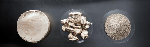 From alternative protein winter to a level playing field for startups and investors