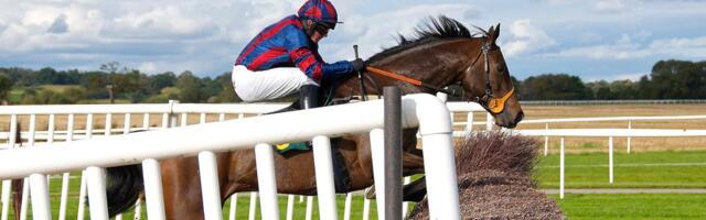 Entain figures show the Grand National was the biggest betting event of the year once again