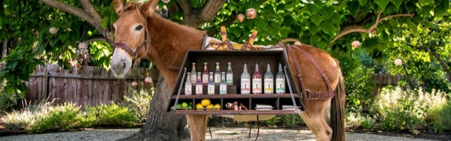 Owen’s Craft Mixers Raises $7.5M for its Premium Mixer Brand as Interest in Drink from Home Surges