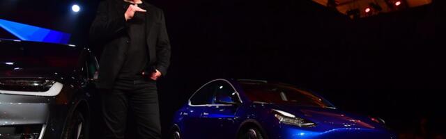 Everything we know about Elon Musk's 'more affordable' Tesla